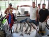 (06/17/2018) - Nice Striped Bass